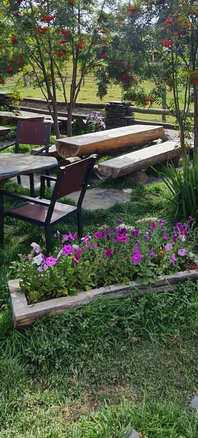 Guest House Shina Omalo 外观 照片